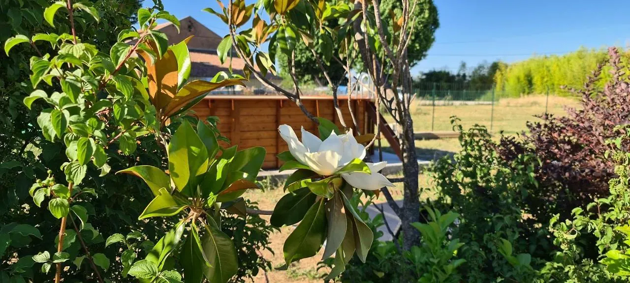 Mas Gabelys Superbe Vue Sainte Victoire Jardin Terrasse Et Piscine Apartment Trets